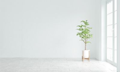 定制木門勢不可擋 個性定制漸成潮流